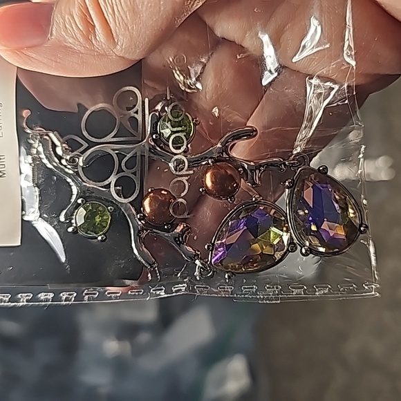 Glitzy Giveaway Earrings Fishhook Multi Colors - Picture 3 of 3